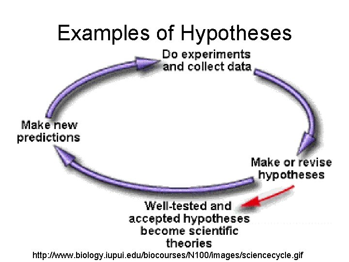 Examples of Hypotheses http: //www. biology. iupui. edu/biocourses/N 100/images/sciencecycle. gif 