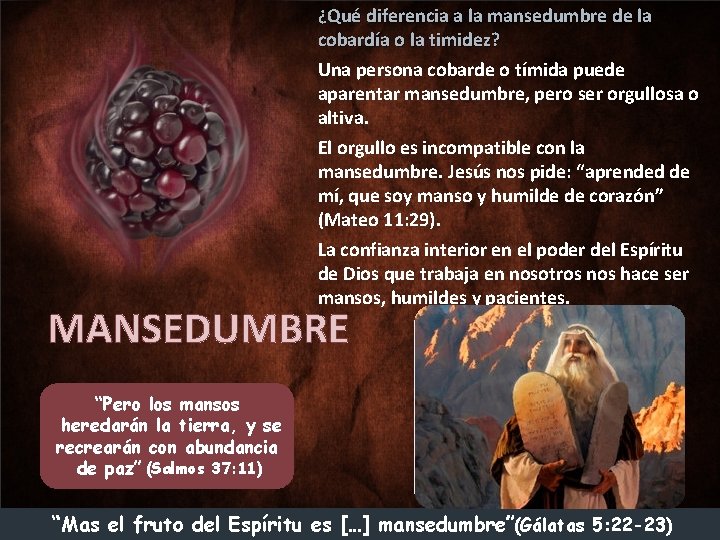 ¿Qué diferencia a la mansedumbre de la cobardía o la timidez? Una persona cobarde