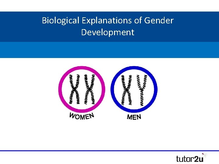 Biological Explanations of Gender Development Biological Explanations of Gender Development