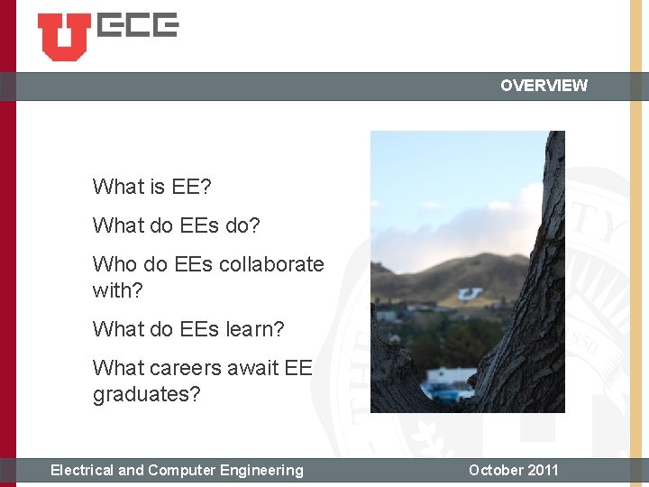 OVERVIEW What is EE? What do EEs do? Who do EEs collaborate with? What