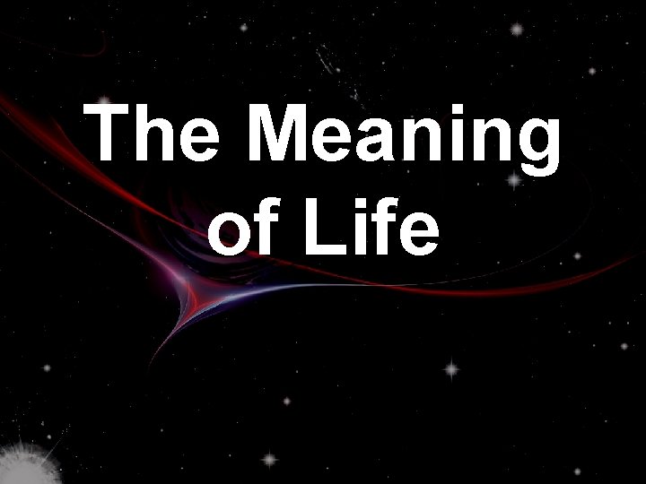 The Meaning of Life 