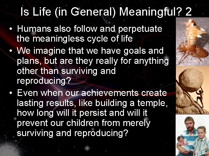 Is Life (in General) Meaningful? 2 • Humans also follow and perpetuate the meaningless