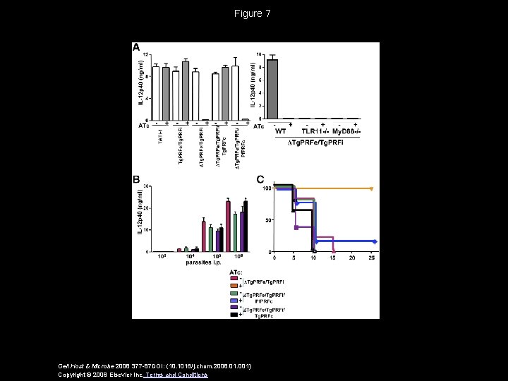 Figure 7 Cell Host & Microbe 2008 377 -87 DOI: (10. 1016/j. chom. 2008.