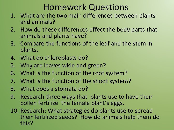 Homework Questions 1. What are the two main differences between plants and animals? 2.