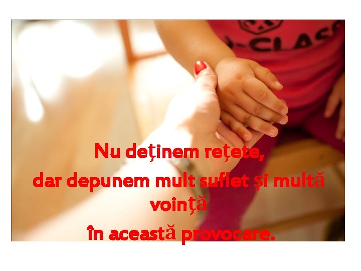 Nu deţinem reţete, dar depunem mult suflet şi multă voinţă în această provocare. 