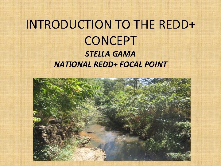 INTRODUCTION TO THE REDD+ CONCEPT STELLA GAMA NATIONAL REDD+ FOCAL POINT INTRODUCTION TO THE REDD+ CONCEPT STELLA GAMA NATIONAL REDD+ FOCAL POINT
