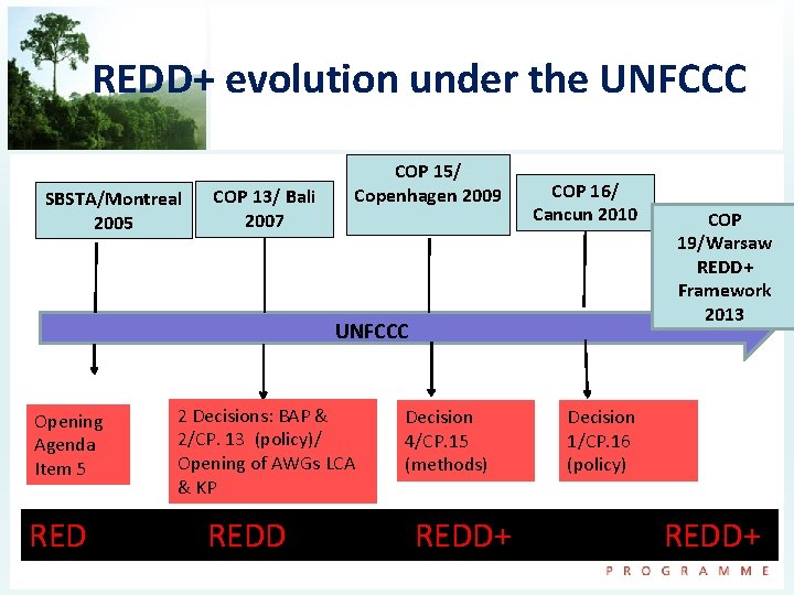 REDD+ evolution under the UNFCCC SBSTA/Montreal 2005 COP 13/ Bali 2007 COP 15/ Copenhagen REDD+ evolution under the UNFCCC SBSTA/Montreal 2005 COP 13/ Bali 2007 COP 15/ Copenhagen