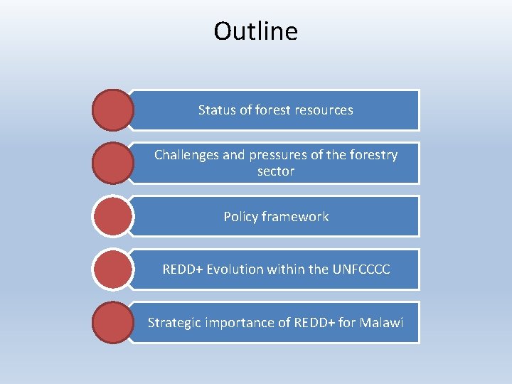 Outline Status of forest resources Challenges and pressures of the forestry sector Policy framework Outline Status of forest resources Challenges and pressures of the forestry sector Policy framework