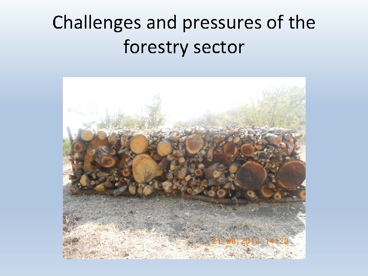 Challenges and pressures of the forestry sector Challenges and pressures of the forestry sector