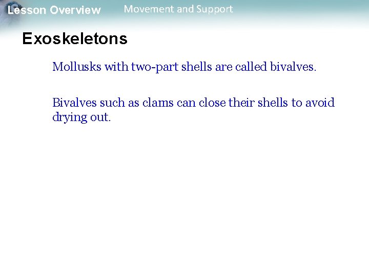 Lesson Overview Movement and Support Exoskeletons Mollusks with two-part shells are called bivalves. Bivalves Lesson Overview Movement and Support Exoskeletons Mollusks with two-part shells are called bivalves. Bivalves