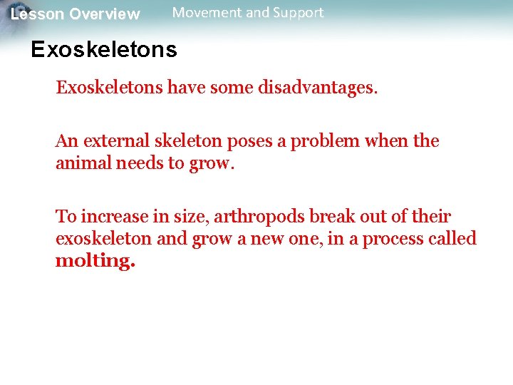 Lesson Overview Movement and Support Exoskeletons have some disadvantages. An external skeleton poses a Lesson Overview Movement and Support Exoskeletons have some disadvantages. An external skeleton poses a