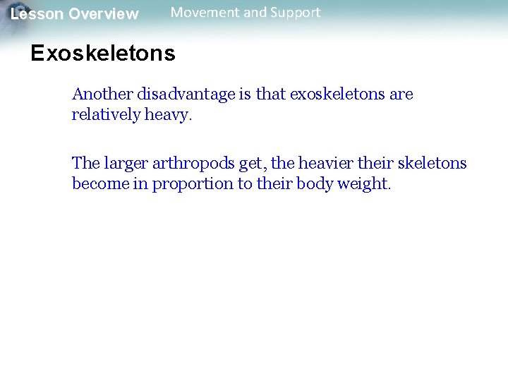 Lesson Overview Movement and Support Exoskeletons Another disadvantage is that exoskeletons are relatively heavy. Lesson Overview Movement and Support Exoskeletons Another disadvantage is that exoskeletons are relatively heavy.
