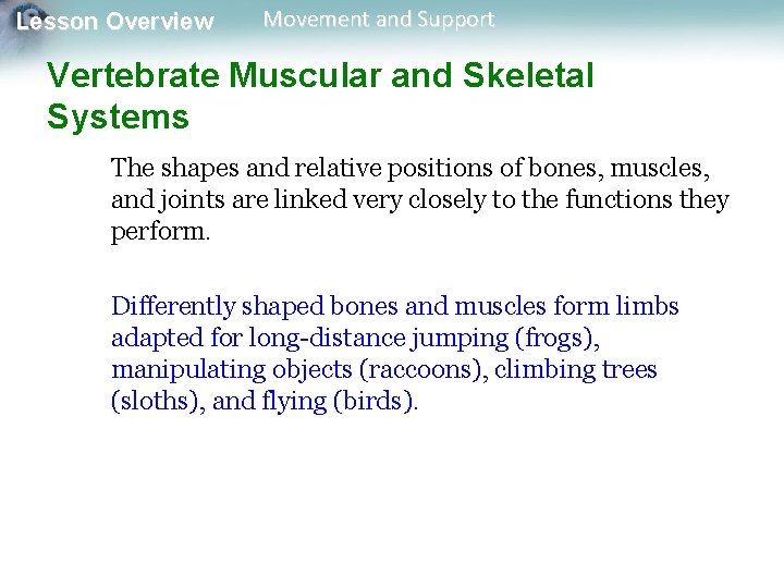 Lesson Overview Movement and Support Vertebrate Muscular and Skeletal Systems The shapes and relative Lesson Overview Movement and Support Vertebrate Muscular and Skeletal Systems The shapes and relative