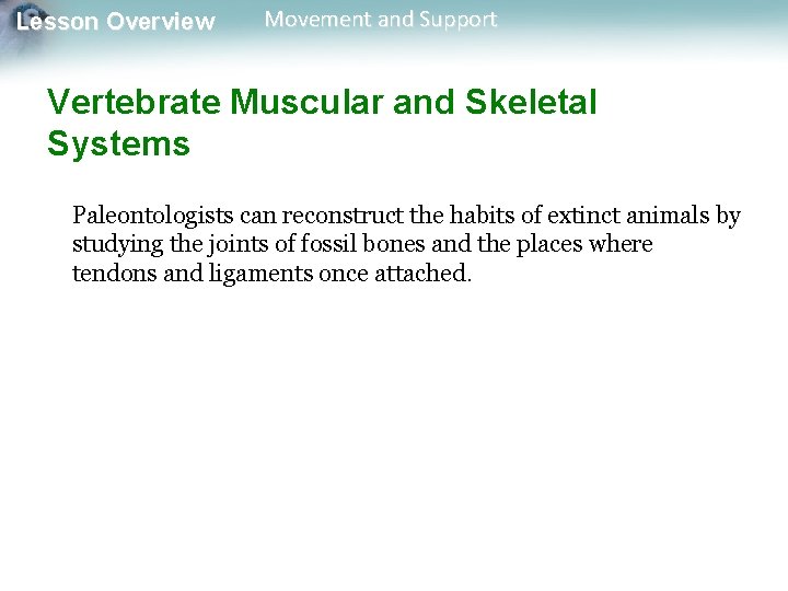 Lesson Overview Movement and Support Vertebrate Muscular and Skeletal Systems Paleontologists can reconstruct the Lesson Overview Movement and Support Vertebrate Muscular and Skeletal Systems Paleontologists can reconstruct the