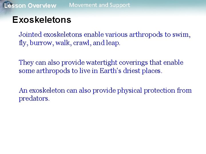 Lesson Overview Movement and Support Exoskeletons Jointed exoskeletons enable various arthropods to swim, fly, Lesson Overview Movement and Support Exoskeletons Jointed exoskeletons enable various arthropods to swim, fly,