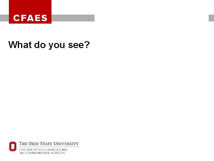 OHIO STATE UNIVERSITY EXTENSION What do you see? OHIO STATE UNIVERSITY EXTENSION What do you see?