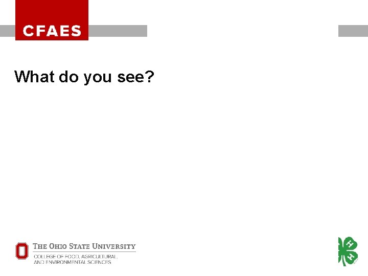 OHIO STATE UNIVERSITY EXTENSION What do you see? OHIO STATE UNIVERSITY EXTENSION What do you see?