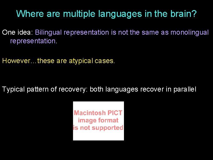 Where are multiple languages in the brain? One idea: Bilingual representation is not the