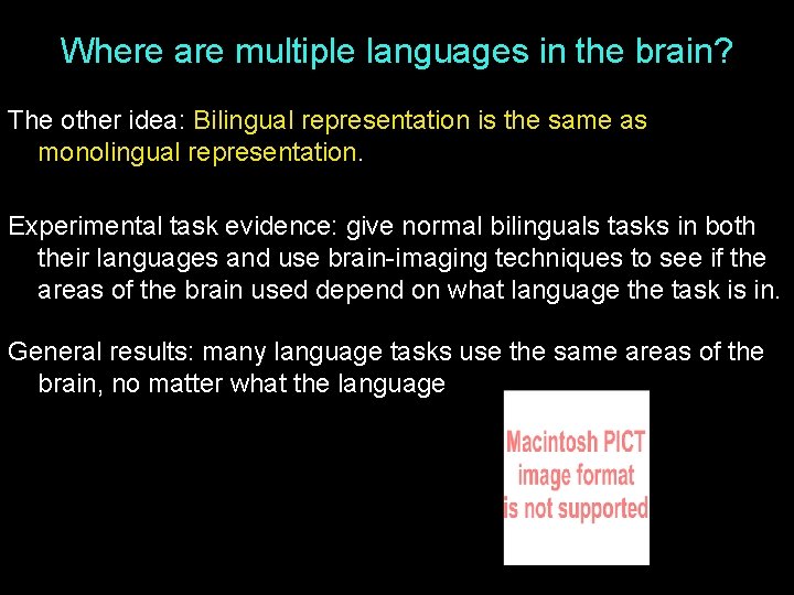 Where are multiple languages in the brain? The other idea: Bilingual representation is the
