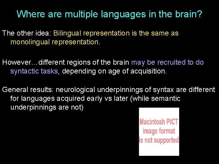 Where are multiple languages in the brain? The other idea: Bilingual representation is the