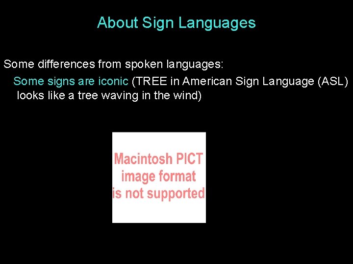 About Sign Languages Some differences from spoken languages: Some signs are iconic (TREE in