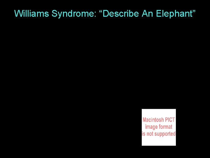 Williams Syndrome: “Describe An Elephant” 