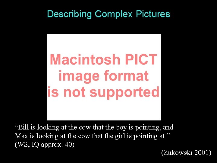 Describing Complex Pictures “Bill is looking at the cow that the boy is pointing,