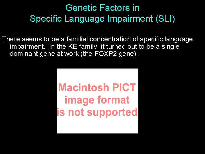 Genetic Factors in Specific Language Impairment (SLI) There seems to be a familial concentration