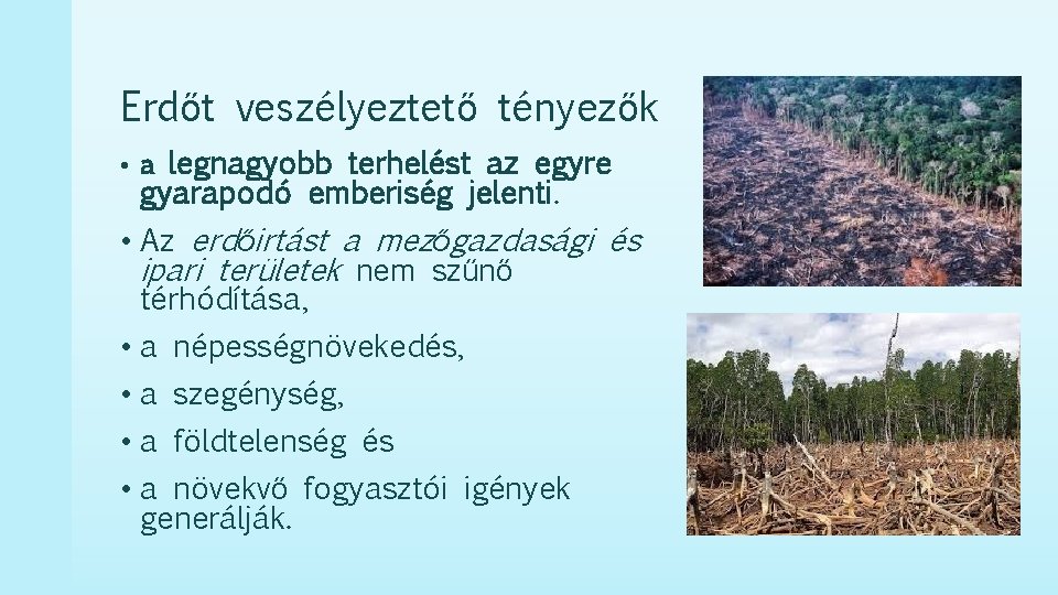 Erdőt veszélyeztető tényezők • a legnagyobb terhelést az egyre gyarapodó emberiség jelenti. • Az