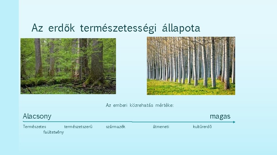 Az erdők természetességi állapota Az emberi közrehatás mértéke: Alacsony Természetes természetszerű faültetvény magas származék