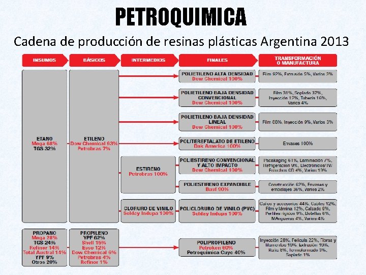 PETROQUIMICA Cadena de producción de resinas plásticas Argentina 2013 
