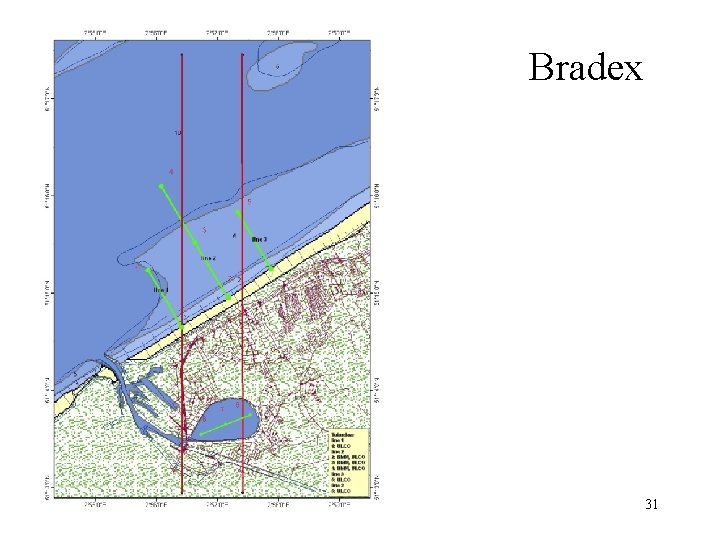 Bradex 31 