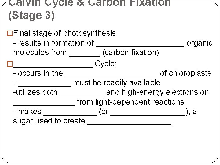 Calvin Cycle & Carbon Fixation (Stage 3) �Final stage of photosynthesis - results in