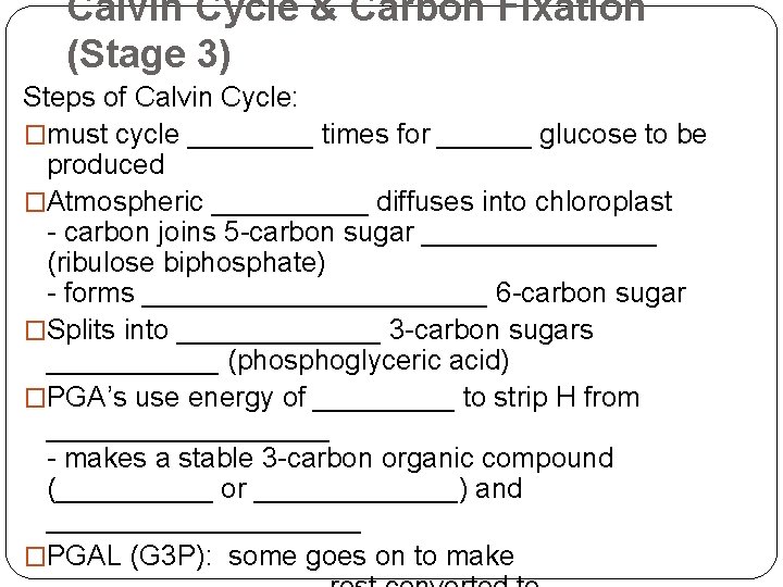 Calvin Cycle & Carbon Fixation (Stage 3) Steps of Calvin Cycle: �must cycle ____