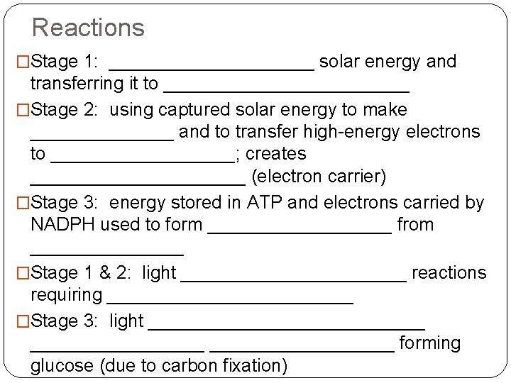 Reactions �Stage 1: __________ solar energy and transferring it to ____________ �Stage 2: using