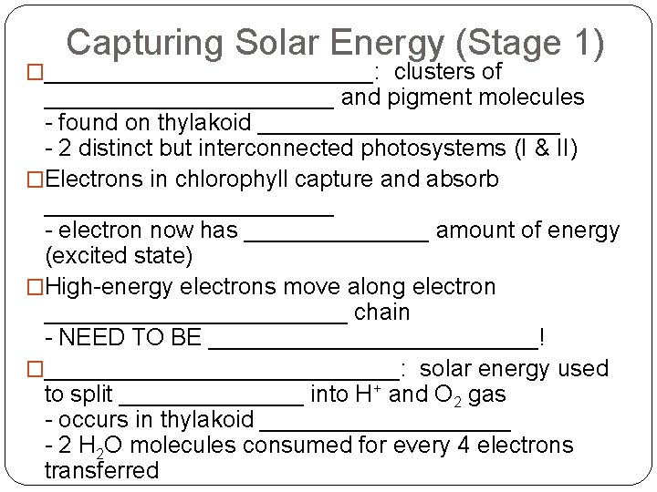 Capturing Solar Energy (Stage 1) �_____________: clusters of ___________ and pigment molecules - found