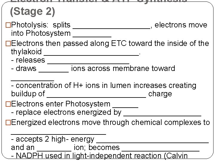 Electron Transfer & ATP Synthesis (Stage 2) �Photolysis: splits _________, electrons move into Photosystem