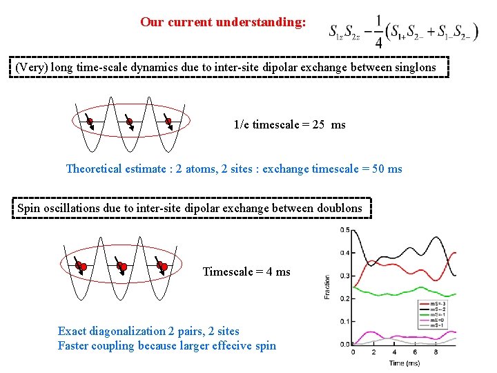 Our current understanding: (Very) long time-scale dynamics due to inter-site dipolar exchange between singlons