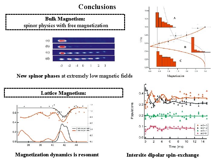 Conclusions Bulk Magnetism: spinor physics with free magnetization New spinor phases at extremely low