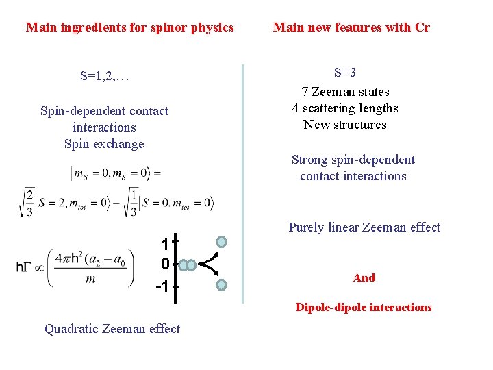 Main ingredients for spinor physics S=1, 2, … Spin-dependent contact interactions Spin exchange Main