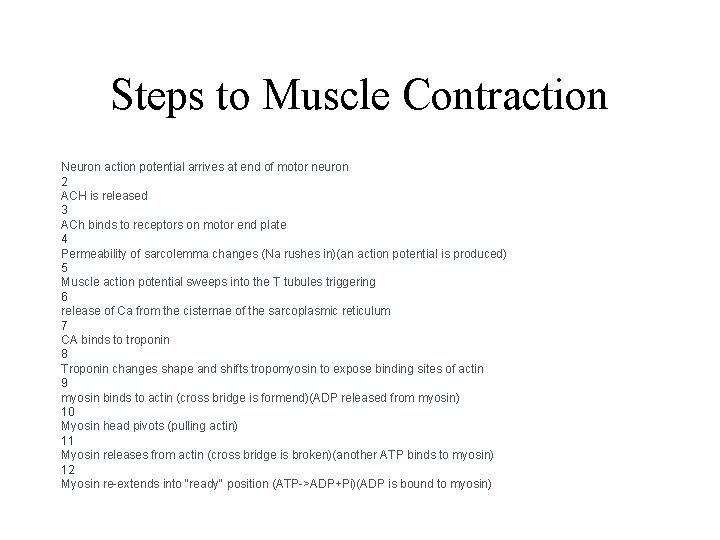 Steps to Muscle Contraction Neuron action potential arrives at end of motor neuron 2