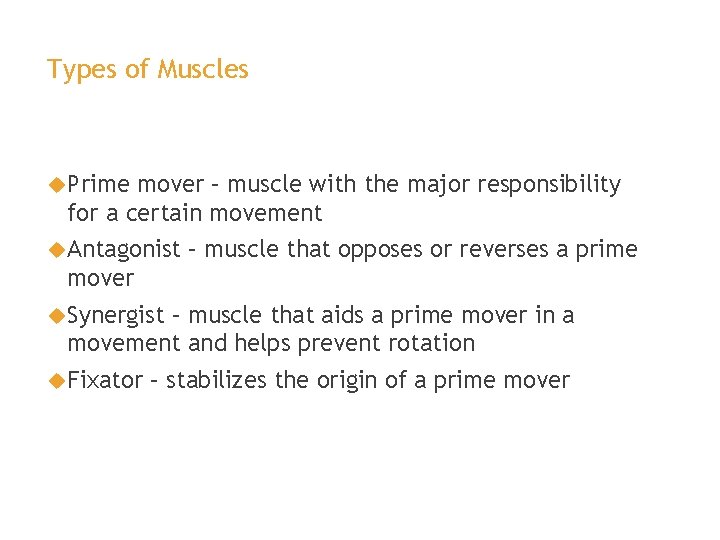 Types of Muscles Prime mover – muscle with the major responsibility for a certain