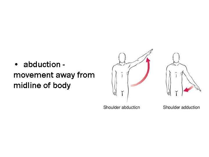  • abduction movement away from midline of body 