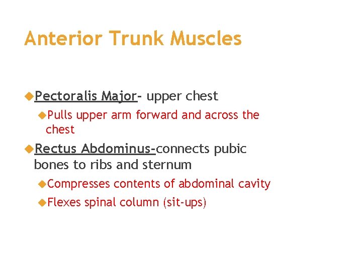 Anterior Trunk Muscles Pectoralis Pulls Major- upper chest upper arm forward and across the