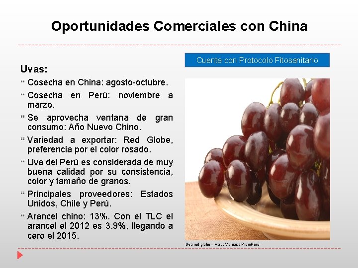 Oportunidades Comerciales con China Uvas: Cuenta con Protocolo Fitosanitario Cosecha en China: agosto-octubre. Cosecha