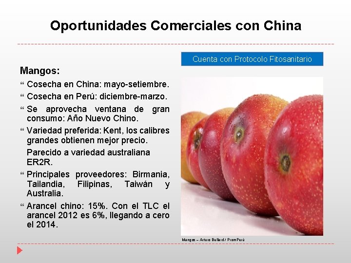 Oportunidades Comerciales con China Cuenta con Protocolo Fitosanitario Mangos: Cosecha en China: mayo-setiembre. Cosecha