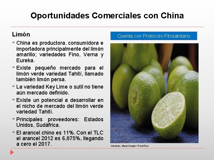 Oportunidades Comerciales con China Limón China es productora, consumidora e importadora principalmente del limón