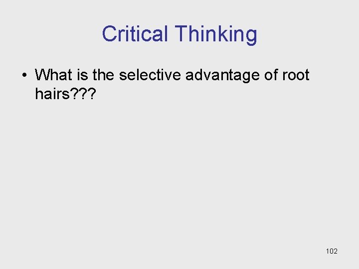 Critical Thinking • What is the selective advantage of root hairs? ? ? 102 Critical Thinking • What is the selective advantage of root hairs? ? ? 102
