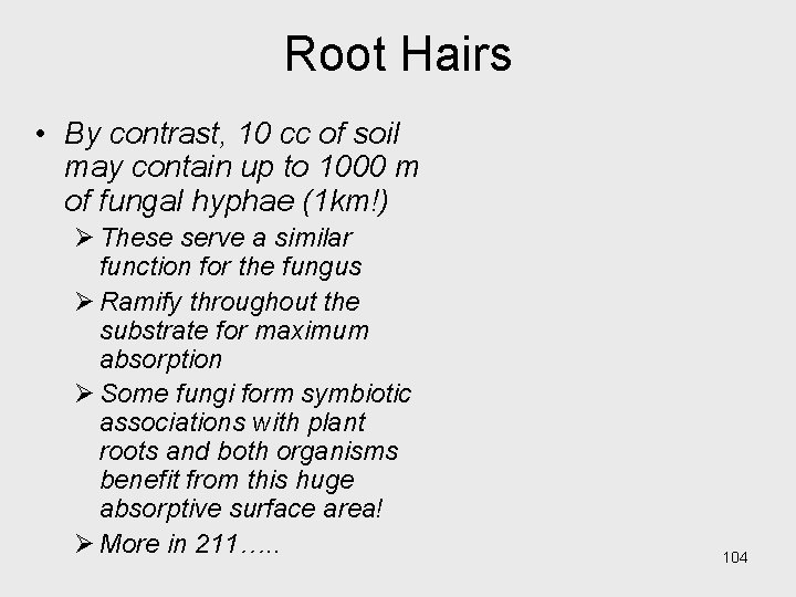 Root Hairs • By contrast, 10 cc of soil may contain up to 1000 Root Hairs • By contrast, 10 cc of soil may contain up to 1000