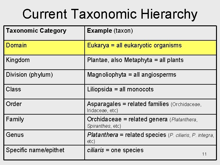 Current Taxonomic Hierarchy Taxonomic Category Example (taxon) Domain Eukarya = all eukaryotic organisms Kingdom Current Taxonomic Hierarchy Taxonomic Category Example (taxon) Domain Eukarya = all eukaryotic organisms Kingdom